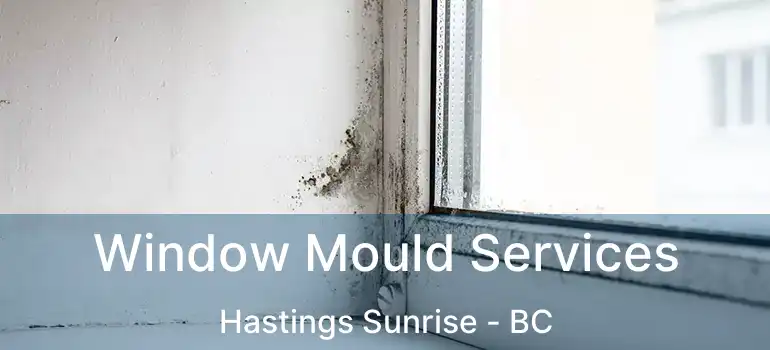  Window Mould Services Hastings Sunrise - BC