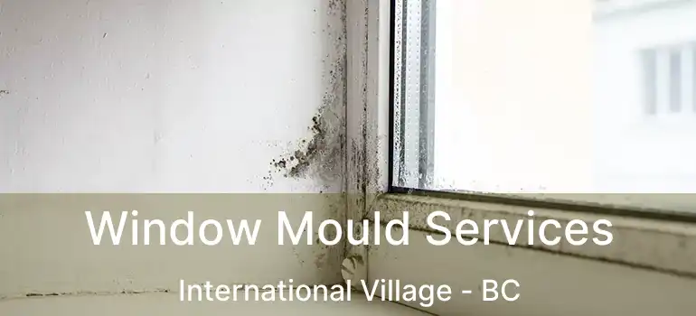  Window Mould Services International Village - BC