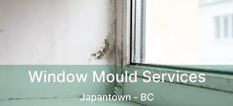  Window Mould Services Japantown - BC