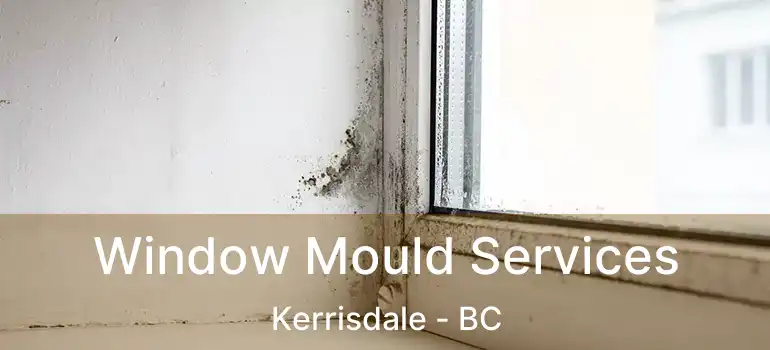 Window Mould Services Kerrisdale - BC