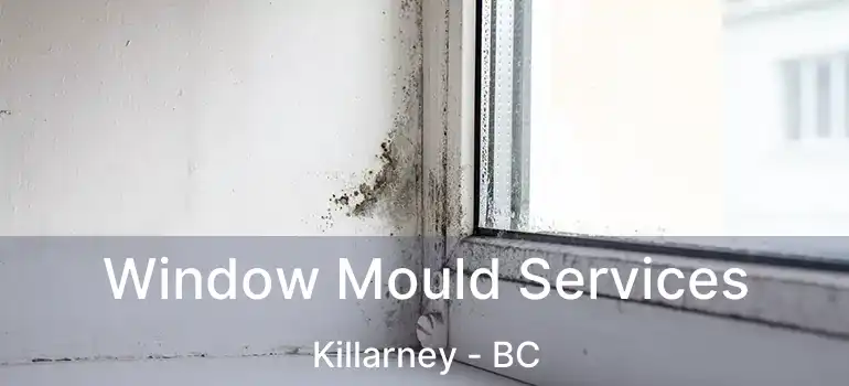  Window Mould Services Killarney - BC
