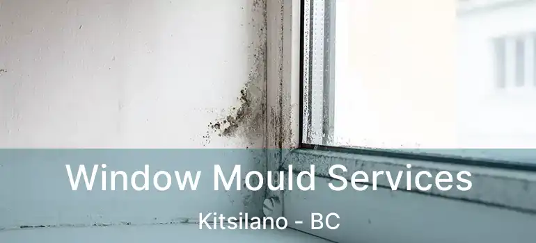  Window Mould Services Kitsilano - BC