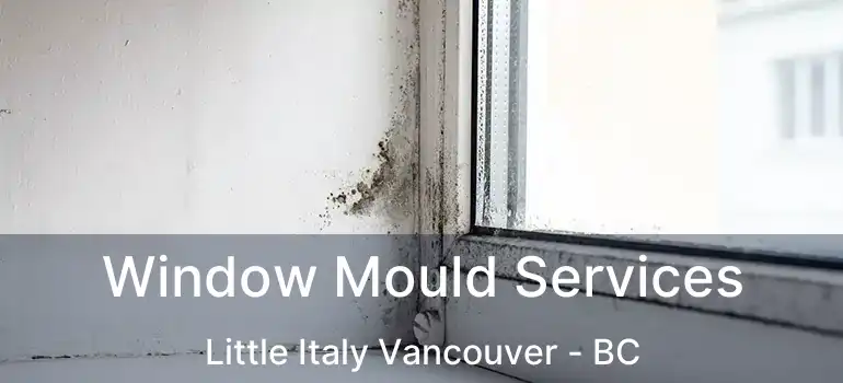  Window Mould Services Little Italy Vancouver - BC