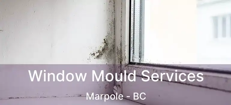  Window Mould Services Marpole - BC