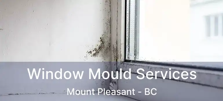  Window Mould Services Mount Pleasant - BC