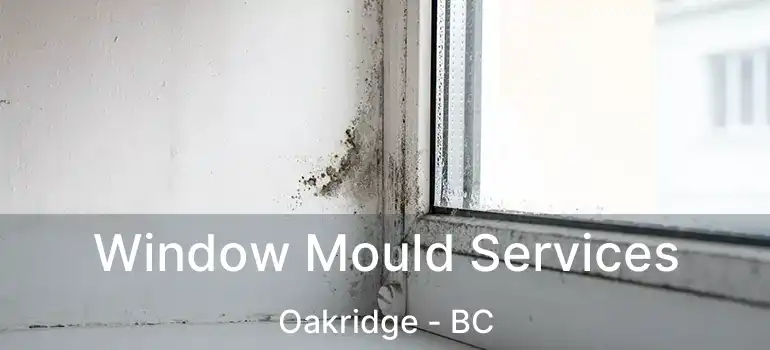  Window Mould Services Oakridge - BC