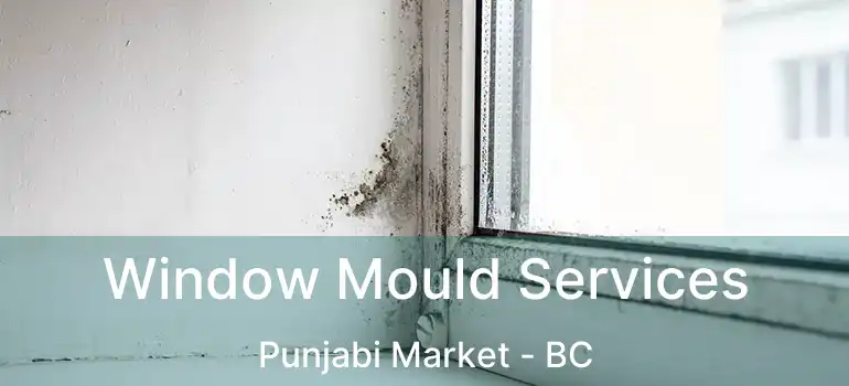  Window Mould Services Punjabi Market - BC