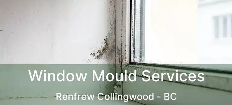  Window Mould Services Renfrew Collingwood - BC