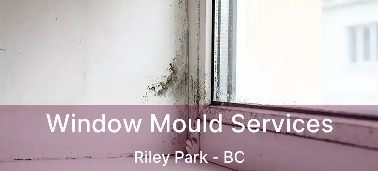  Window Mould Services Riley Park - BC