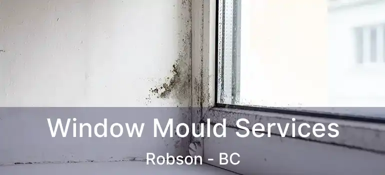  Window Mould Services Robson - BC