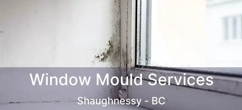 Window Mould Services Shaughnessy - BC