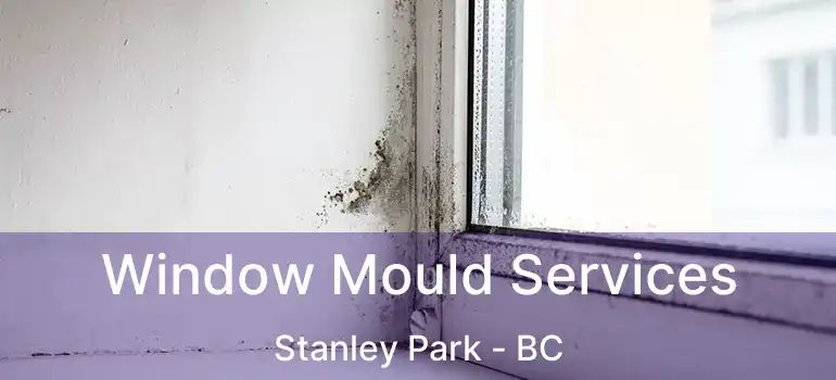  Window Mould Services Stanley Park - BC