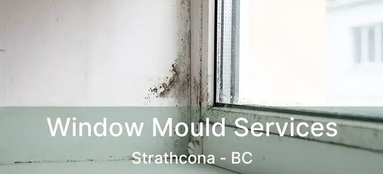  Window Mould Services Strathcona - BC