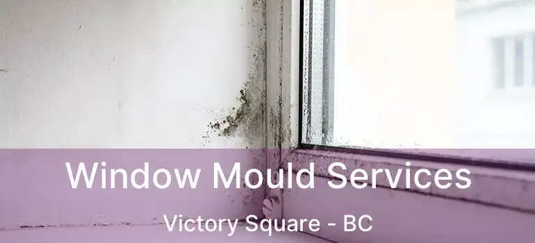  Window Mould Services Victory Square - BC