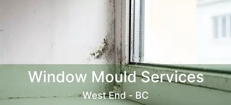  Window Mould Services West End - BC