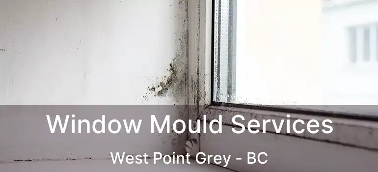  Window Mould Services West Point Grey - BC