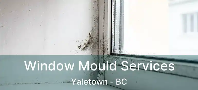  Window Mould Services Yaletown - BC