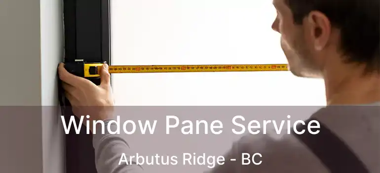  Window Pane Service Arbutus Ridge - BC