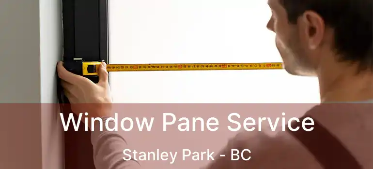  Window Pane Service Stanley Park - BC