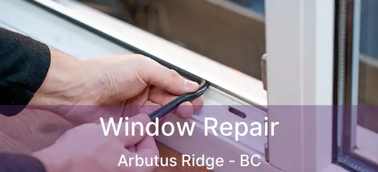  Window Repair Arbutus Ridge - BC