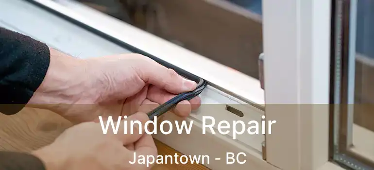  Window Repair Japantown - BC
