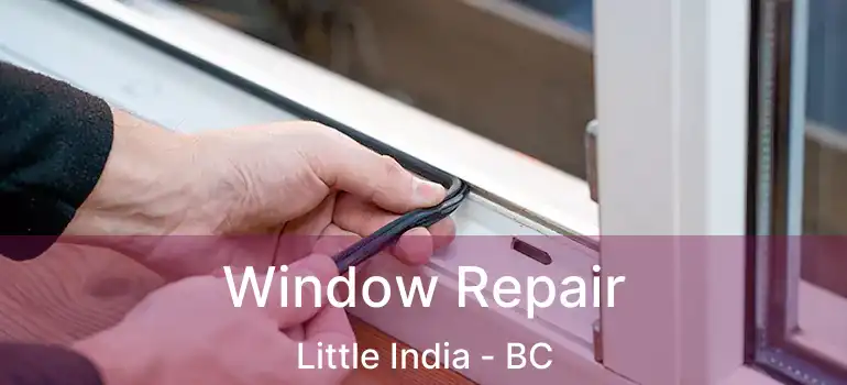  Window Repair Little India - BC