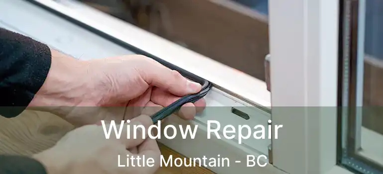  Window Repair Little Mountain - BC