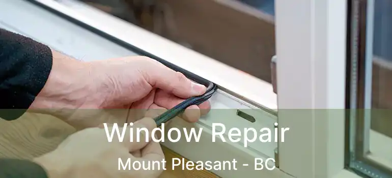  Window Repair Mount Pleasant - BC