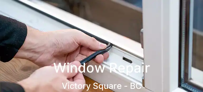  Window Repair Victory Square - BC