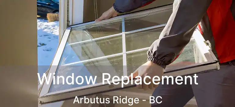  Window Replacement Arbutus Ridge - BC