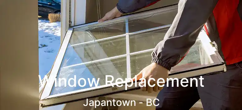  Window Replacement Japantown - BC