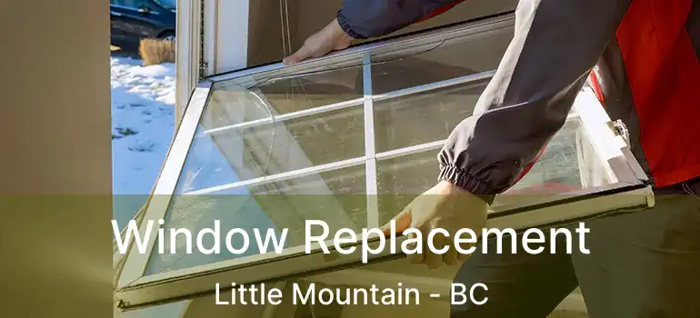  Window Replacement Little Mountain - BC