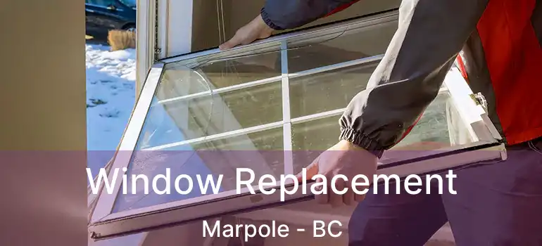  Window Replacement Marpole - BC