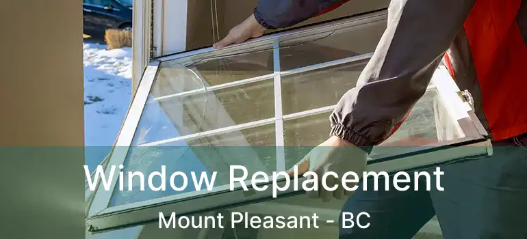  Window Replacement Mount Pleasant - BC