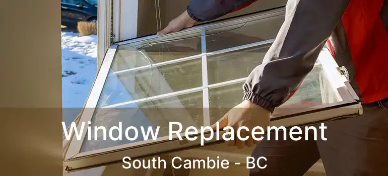  Window Replacement South Cambie - BC