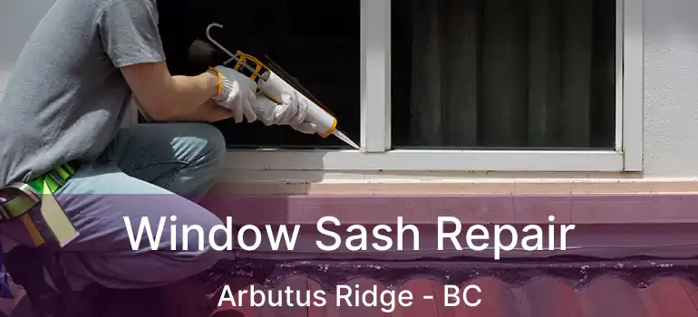  Window Sash Repair Arbutus Ridge - BC