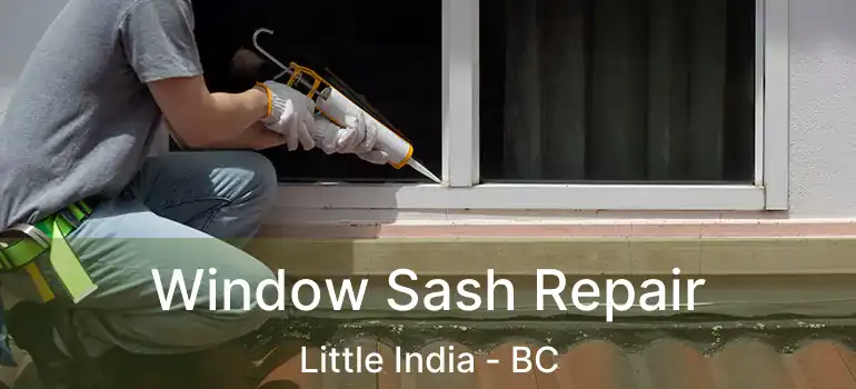  Window Sash Repair Little India - BC
