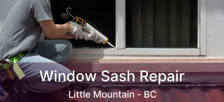  Window Sash Repair Little Mountain - BC