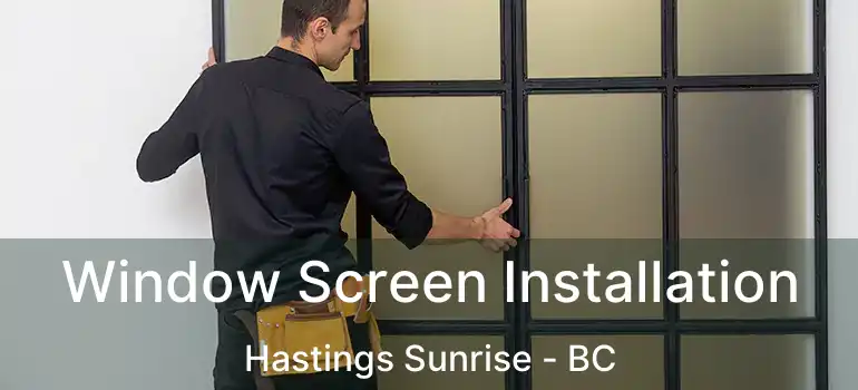 Window Screen Installation Hastings Sunrise - BC