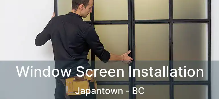  Window Screen Installation Japantown - BC