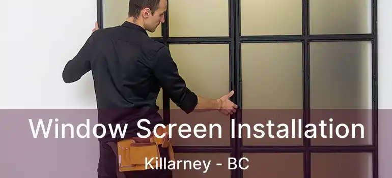  Window Screen Installation Killarney - BC