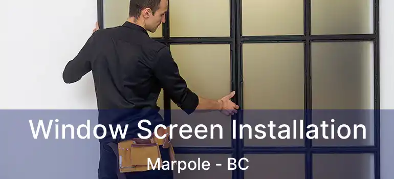  Window Screen Installation Marpole - BC