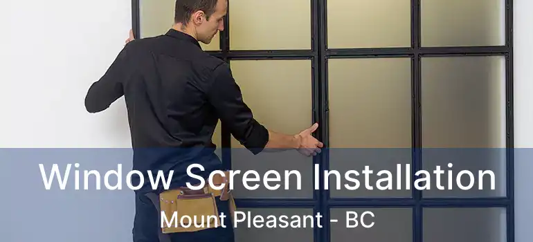  Window Screen Installation Mount Pleasant - BC