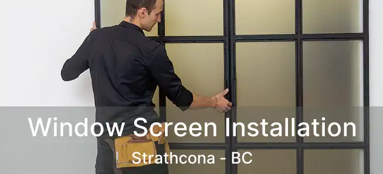  Window Screen Installation Strathcona - BC