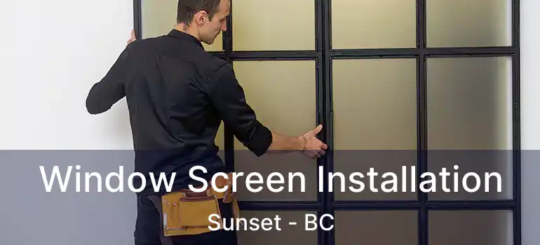  Window Screen Installation Sunset - BC