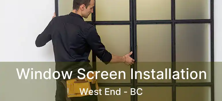  Window Screen Installation West End - BC