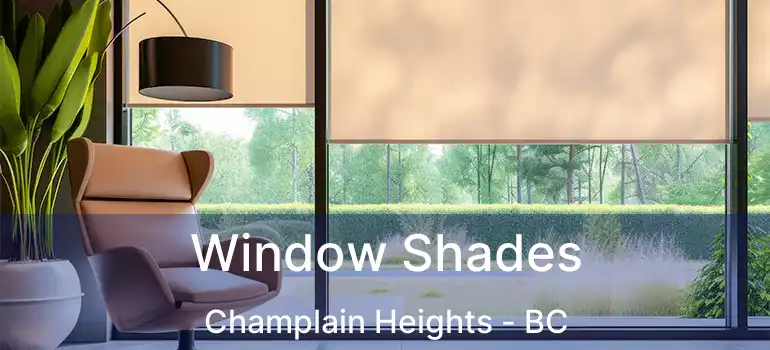  Window Shades Champlain Heights - BC