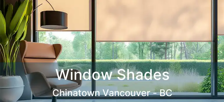  Window Shades Chinatown Vancouver - BC