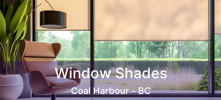  Window Shades Coal Harbour - BC