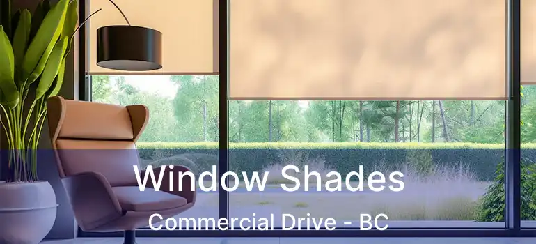  Window Shades Commercial Drive - BC